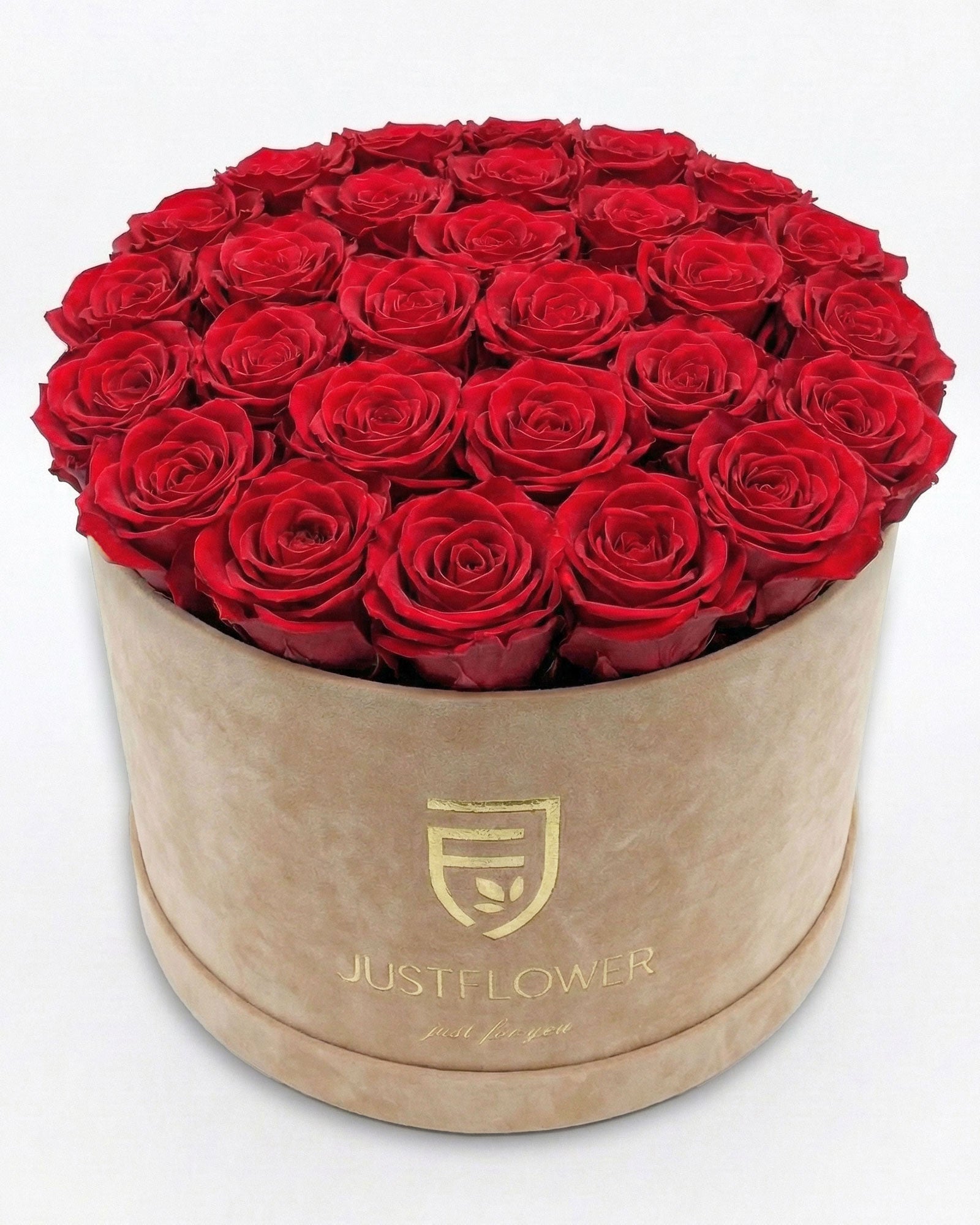 Rosenbox Rund XL Beige mit roten Rosen – JustFlower