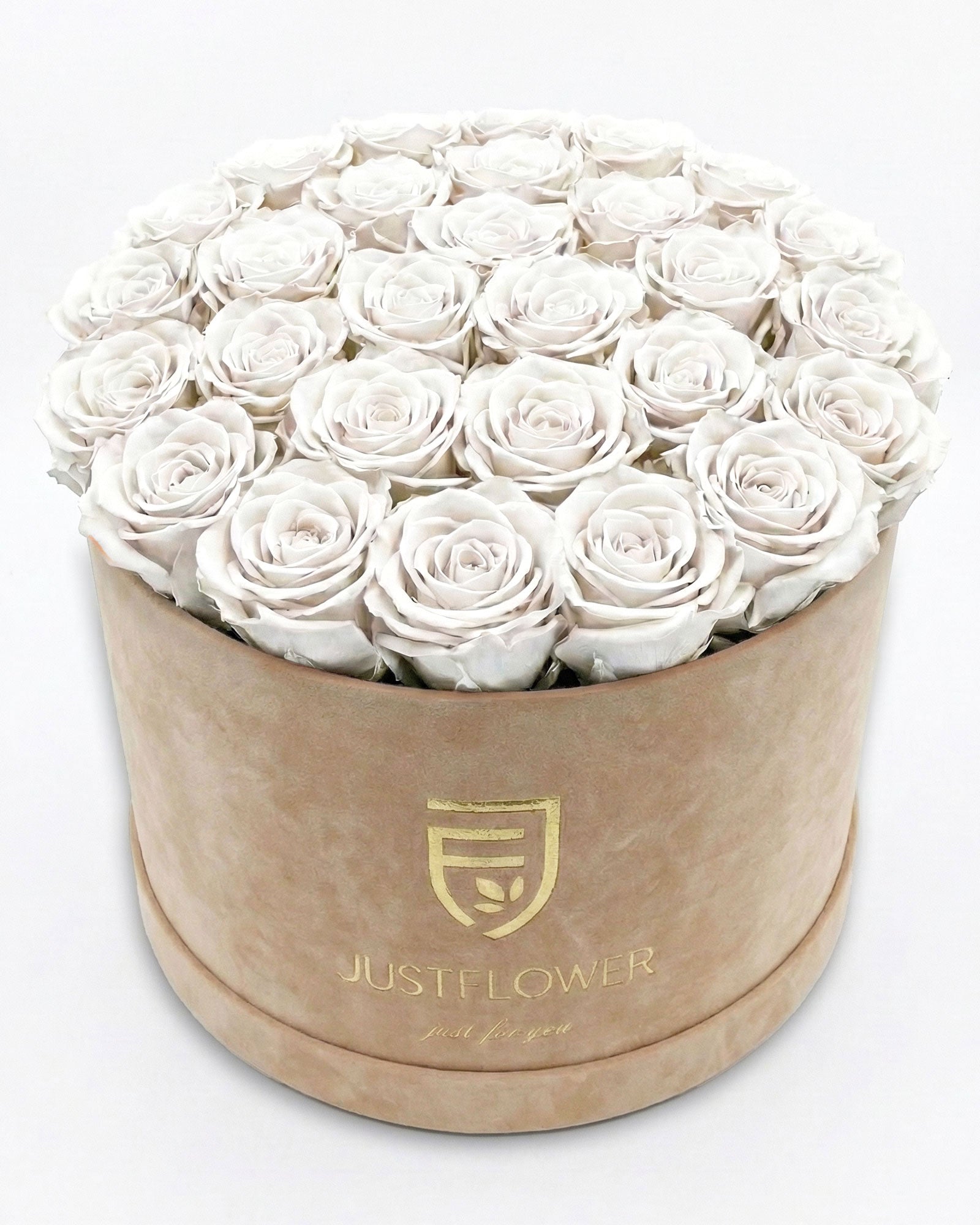 Rosenbox Rund XL Beige mit weissen Rosen – JustFlower