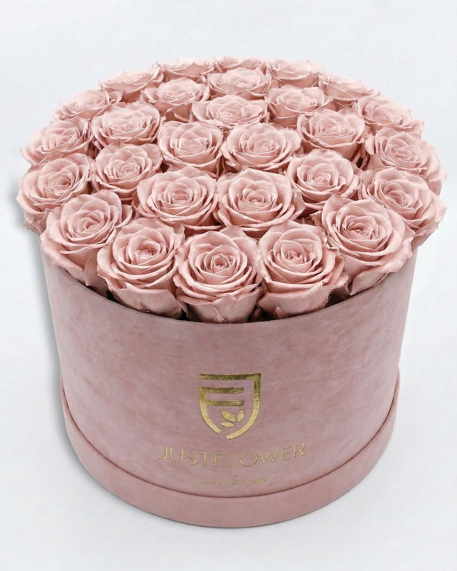 Rosenbox Rund XL in Hellrosa mit altrosa Infinity Rosen – luxuriöse Rosenbox im Vintage Stil kaufen.