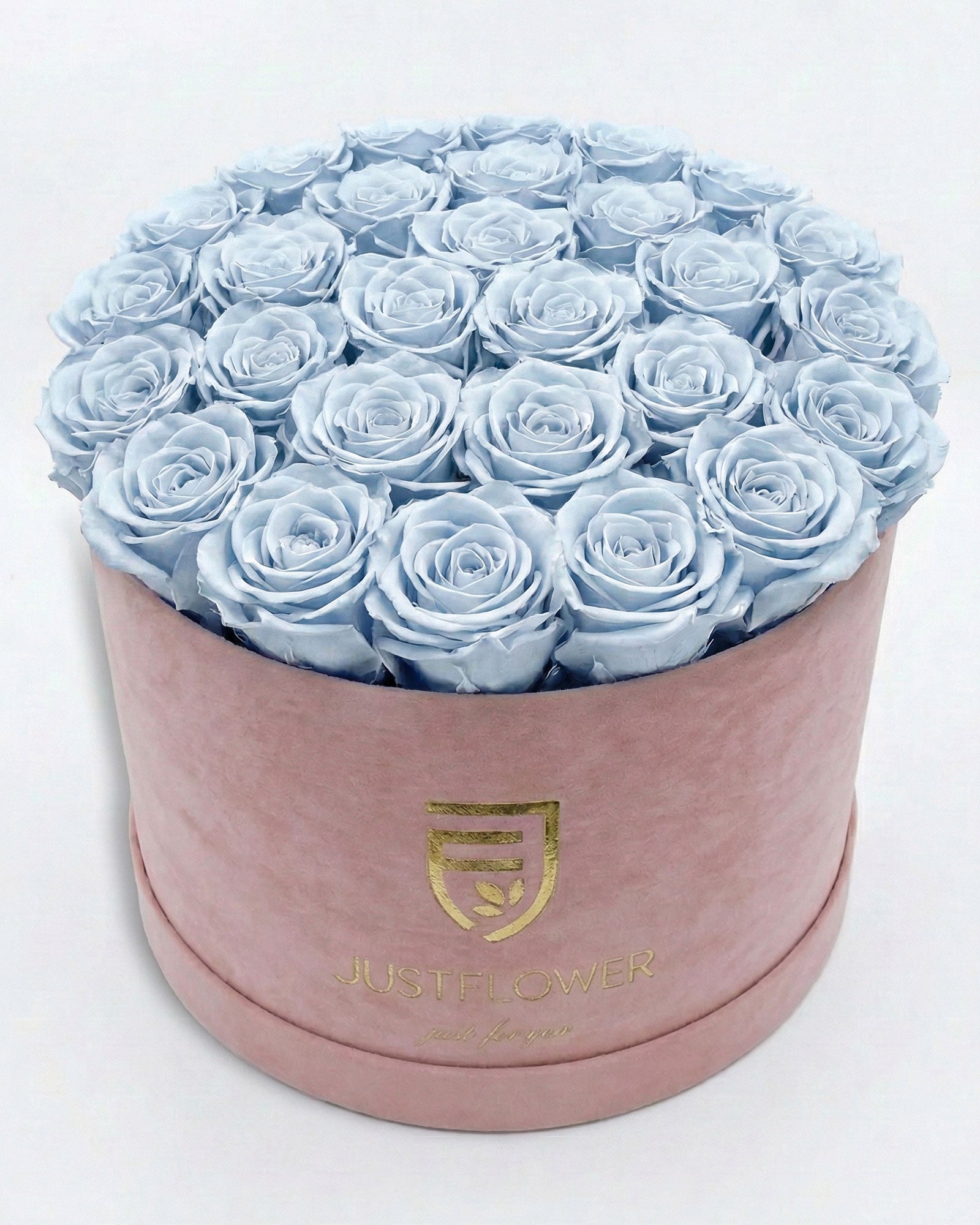 Rosenbox Rund XL in Hellrosa mit hellblauen Infinity Rosen – ausgefallene Rosenbox für besondere Geschenke.