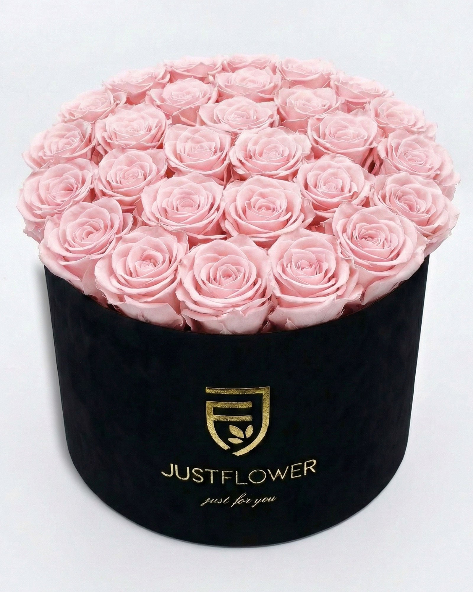 Rosenbox Rund XL Schwarz mit hellrosa Infinity Rosen – Velvet Rosenbox JustFlower