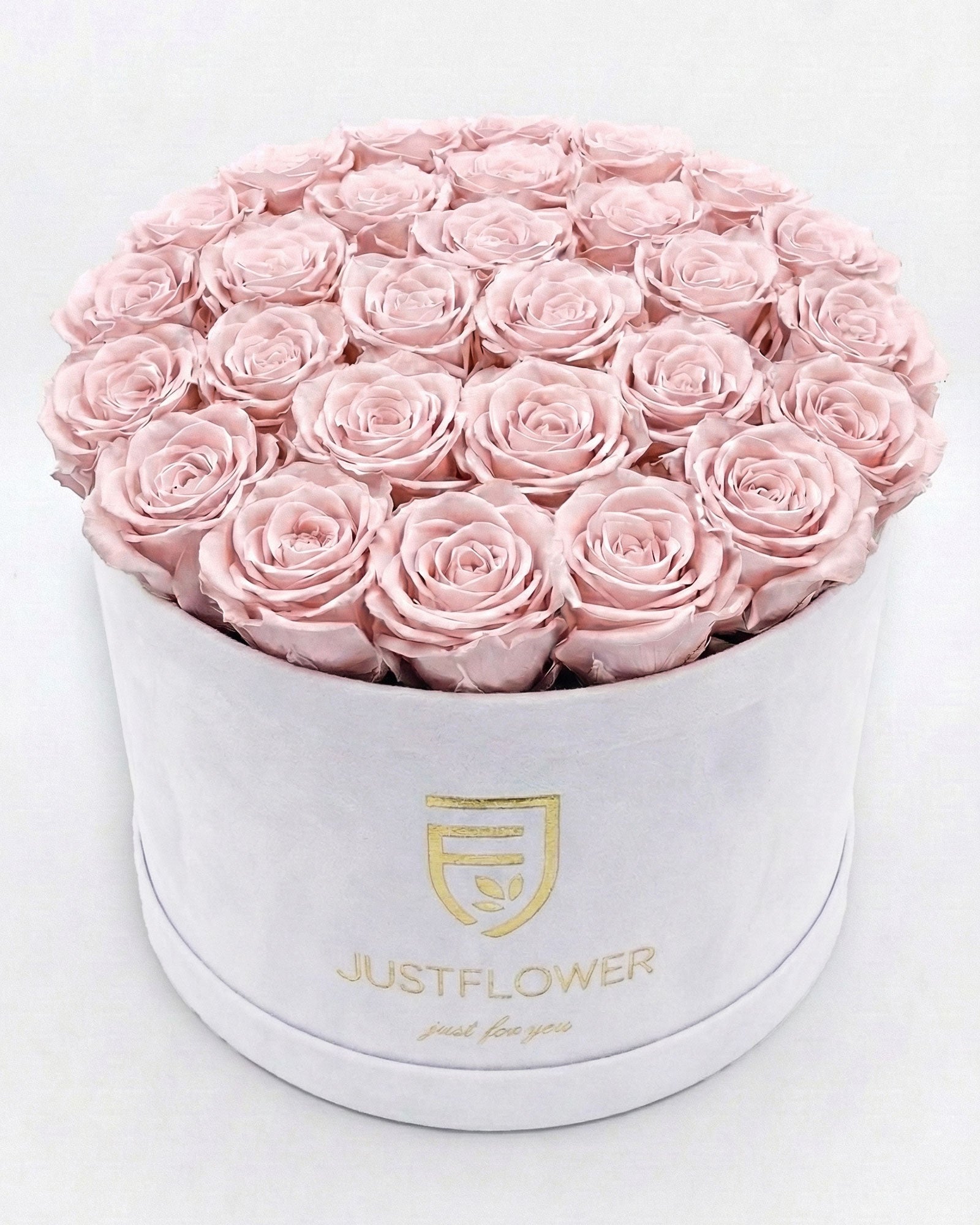 Rosenbox Rund XL in Weiss mit hellrosa Infinity Rosen – elegante Rosenbox in sanften Pastelltönen.