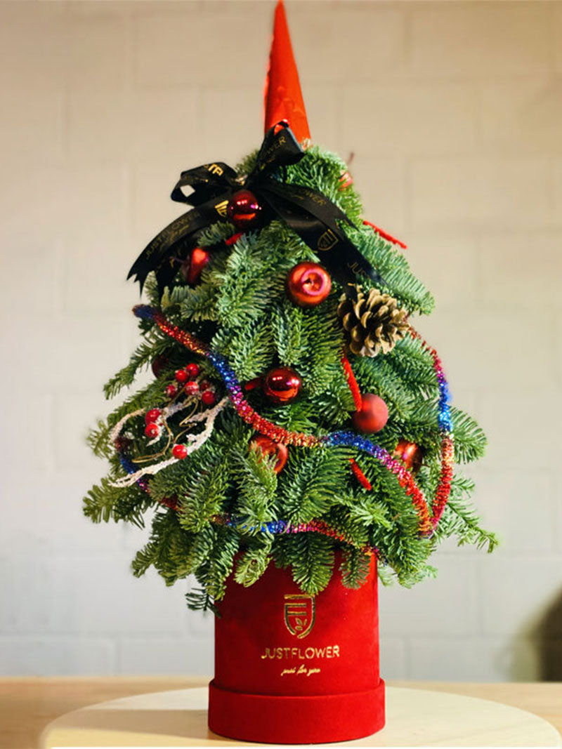 Weihnachtlicher Tannenbaum in rotem Flowerbox geschmückt mit Tannenzweigen, Weihnachtsornamenten und einer festlichen Schleife, perfektes Geschenk für die Feiertage.