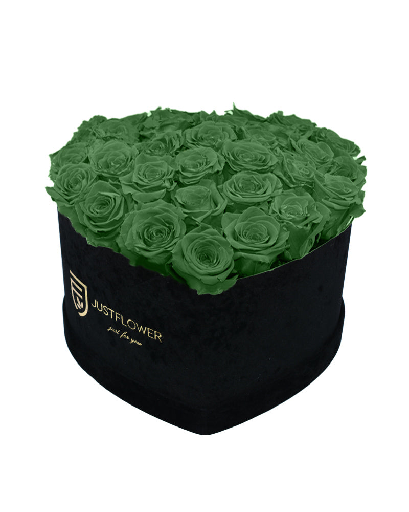Rosenbox mit Infinity Rosen in Grün – Ein Herz aus konservierten grünen Rosen, das Frische und Natürlichkeit symbolisiert. Ideal für Naturliebhaber oder als elegantes Geschenk für besondere Anlässe. Entdecken Sie diese außergewöhnliche Kreation bei JustFlower.ch.