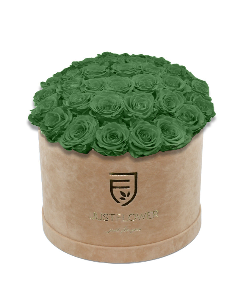 Rosenbox mit grünen Infinity Rosen – Bestellen Sie diese edle Rosenbox mit konservierten grünen Rosen bei JustFlower.ch und verschönern Sie Ihr Zuhause mit der Frische ewiger Rosen.