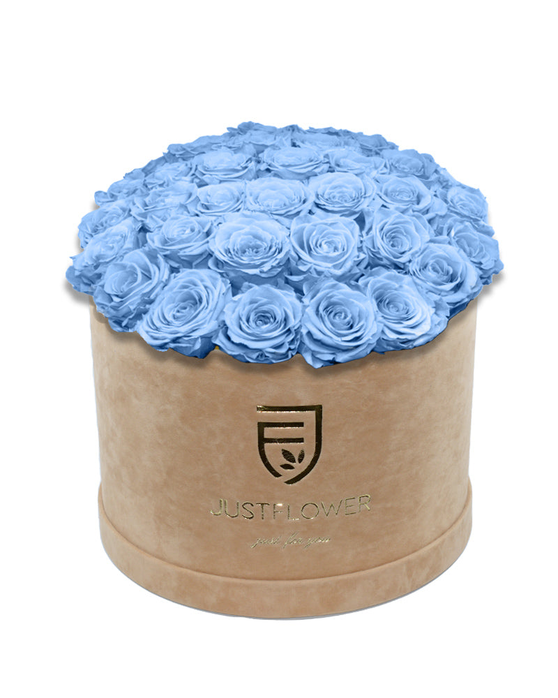 Rosenbox mit hellblauen Infinity Rosen – Bestellen Sie diese exquisite Rosenbox mit konservierten hellblauen Rosen bei JustFlower.ch und genießen Sie die zeitlose Schönheit der ewigen Rosen.