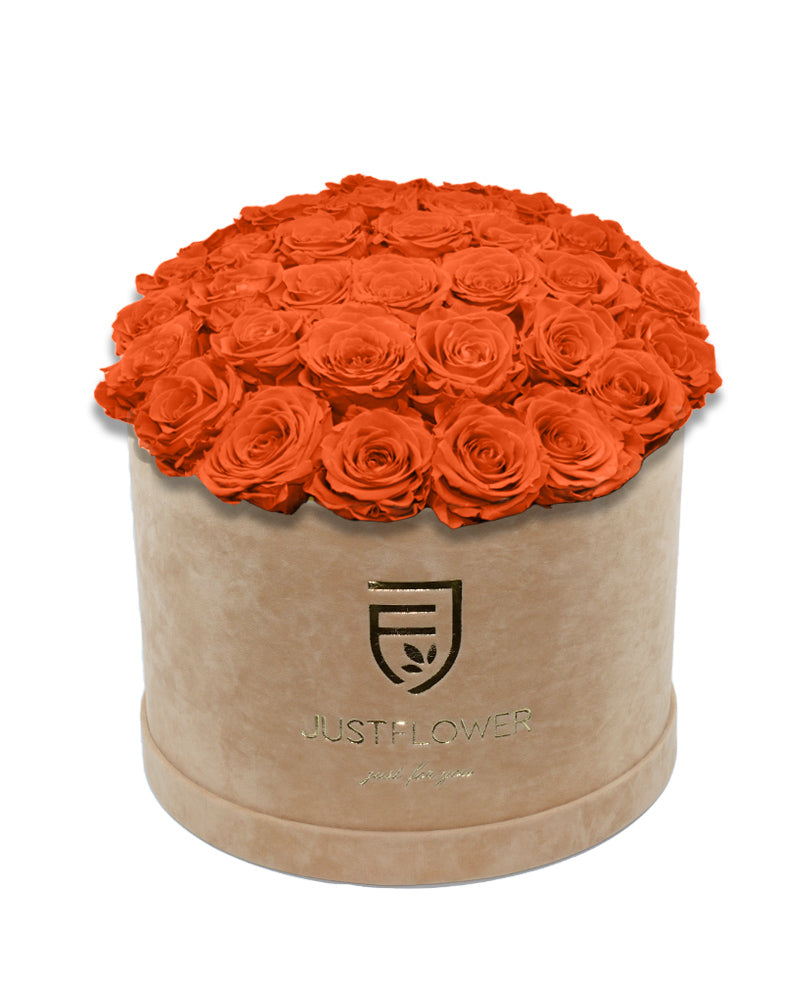 Rosenbox mit orangen Infinity Rosen – Bestellen Sie diese edle Infinity Rosenbox mit konservierten orangen Rosen bei JustFlower.ch und bereichern Sie Ihr Zuhause mit ewiger Eleganz.