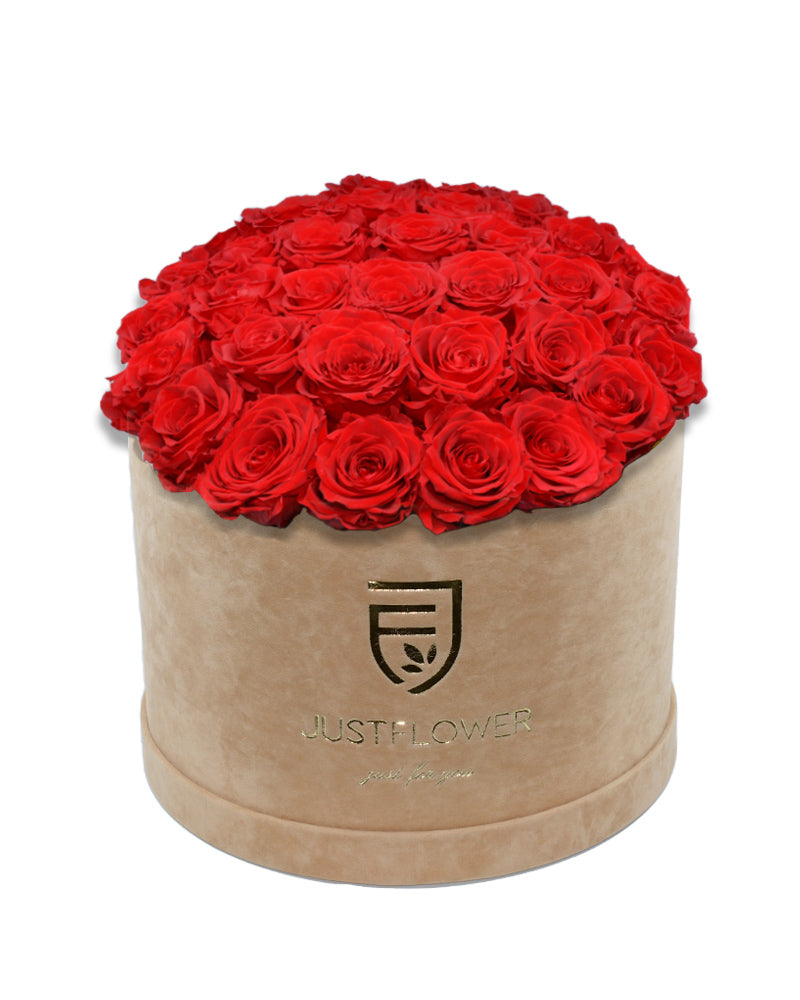 Rosenbox mit roten Infinity Rosen – Bestellen Sie diese luxuriöse Infinity Rosenbox mit konservierten roten Rosen bei JustFlower.ch und genießen Sie die Schönheit ewiger Blumen in Ihrem Zuhause.