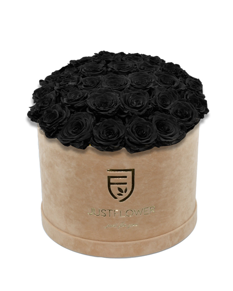 Rosenbox mit schwarzen Infinity Rosen – Bestellen Sie diese edle Infinity Rosenbox mit konservierten Rosen und bringen Sie Luxus und Eleganz in Ihr Zuhause.