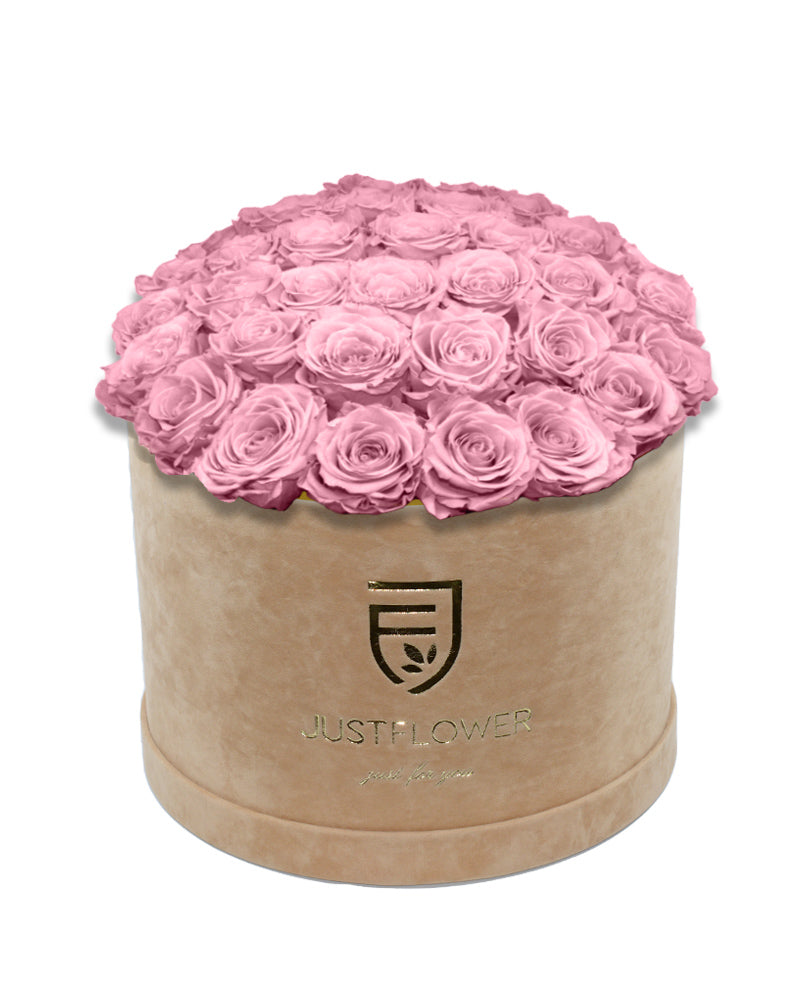 Rosenbox mit Vintage Pink Infinity Rosen – Kaufen Sie diese ewige Rosenbox mit konservierten Rosen bei JustFlower.ch und genießen Sie die Schönheit langer Haltbarkeit.
