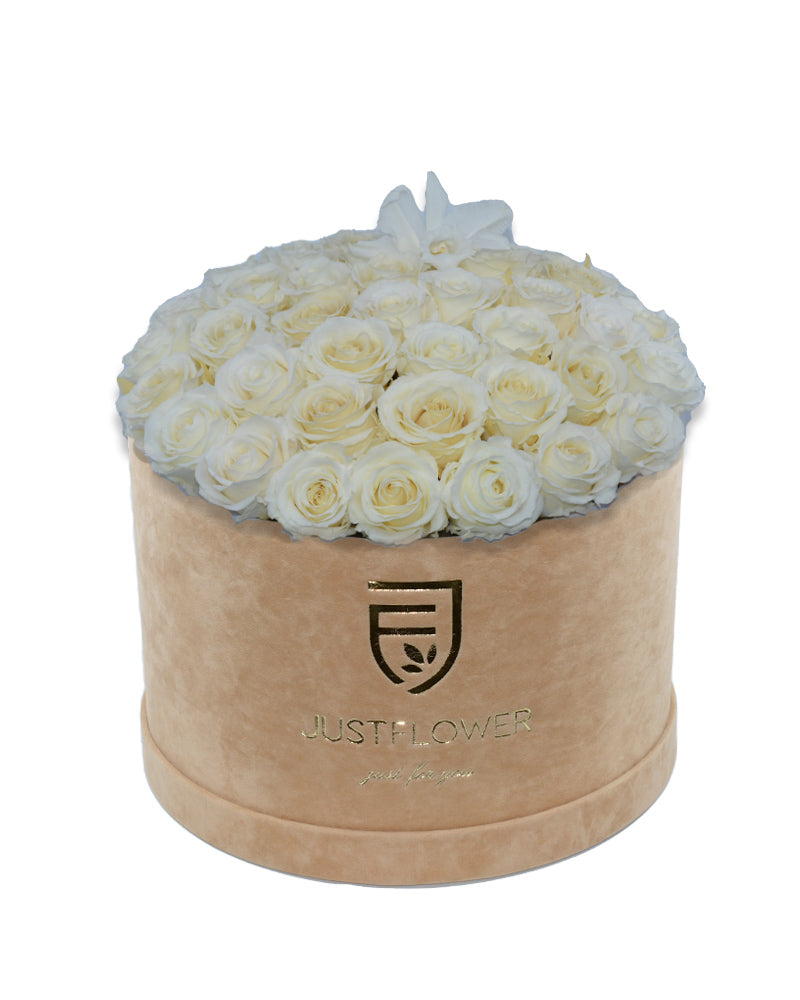 Rosenbox mit weißen Infinity Rosen und eleganten Orchideen – Bestellen Sie jetzt diese exklusive Rosenbox bei JustFlower.ch für unvergessliche Momente.