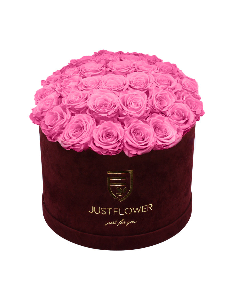 Rosenbox mit babypinken Infinity Rosen – Bestellen Sie diese elegante Rosenbox mit konservierten Rosen bei JustFlower.ch. Perfekt für jeden Anlass und als luxuriöses Geschenk!