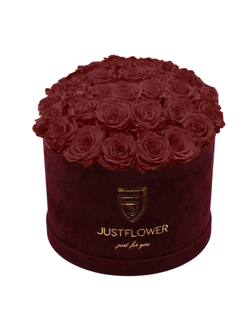 Rosenbox mit burgunderfarbenen Infinity Rosen – Bestellen Sie diese luxuriöse Box mit konservierten Rosen bei JustFlower.ch. Verleihen Sie Ihrem Raum einen eleganten Akzent!