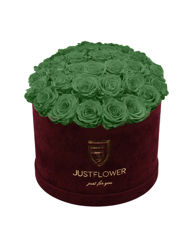 Rosenbox mit grünen konservierten Rosen – Entdecken Sie die Eleganz der ewigen Rosen. Bestellen Sie jetzt Ihre Rosenbox bei JustFlower.ch und bringen Sie frischen Wind in Ihr Zuhause!