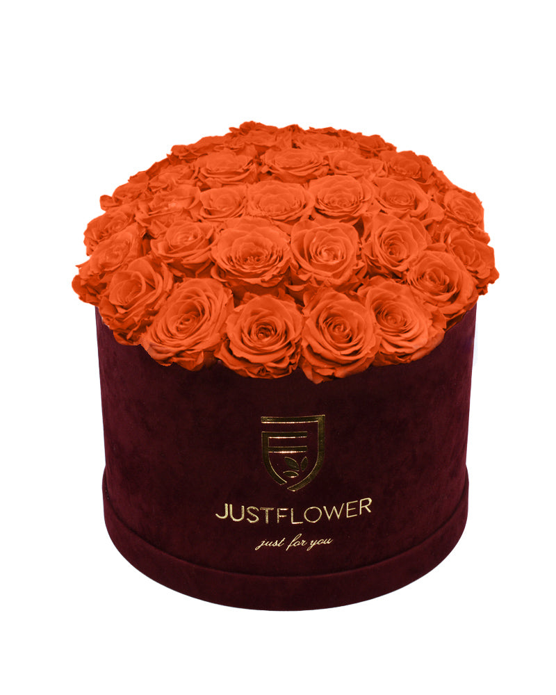 Rosenbox Rund Burgund | Infinity Rosen |  Velvet Deluxe XL