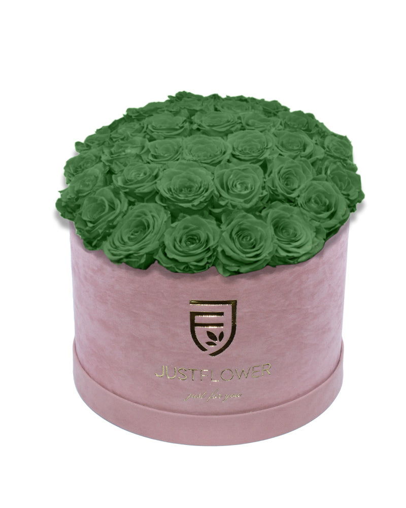 Rosenbox Rund-Deluxe mit grünen konservierten Rosen – Ein luxuriöses Geschenk für dauerhafte Schönheit. Holen Sie sich Ihre Box bei JustFlower.ch.