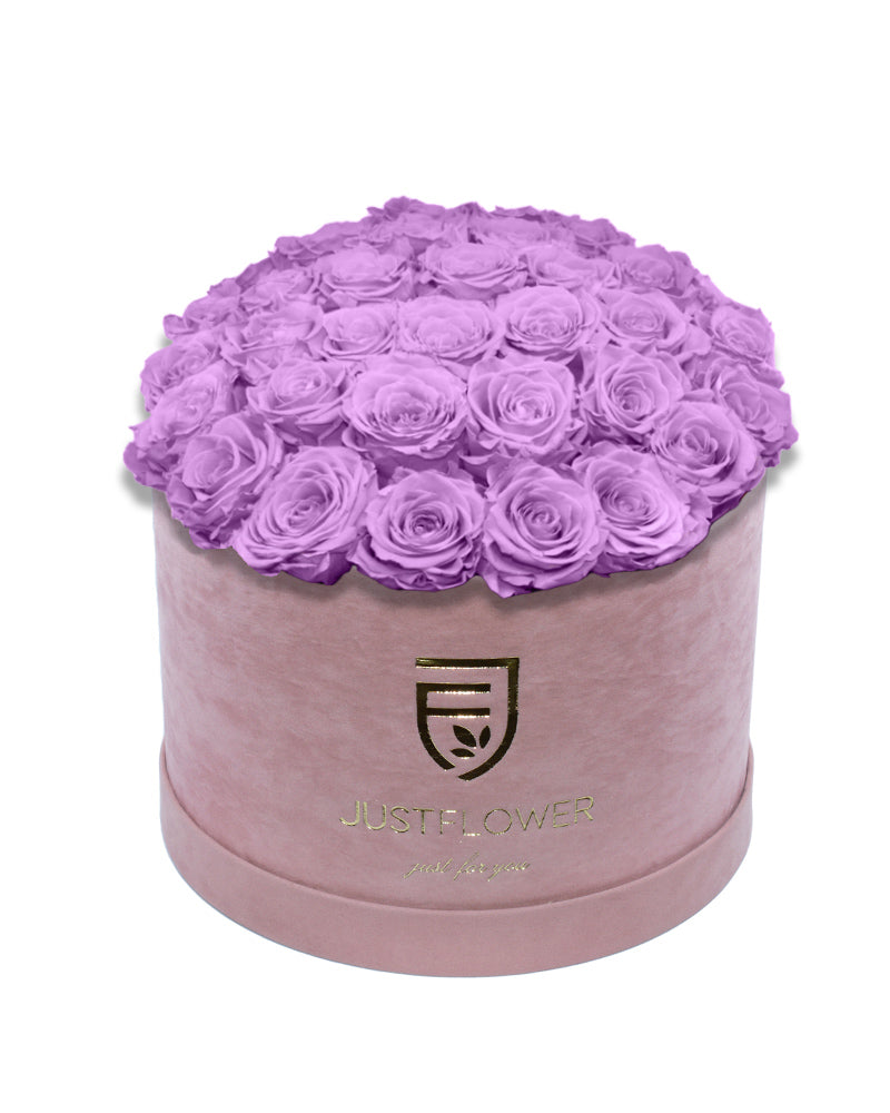 Rosenbox Rund-Deluxe mit lila konservierten Rosen – Infinity Rosen für langanhaltende Frische, ideal als luxuriöses Geschenk. Bestellen Sie jetzt bei JustFlower.ch.