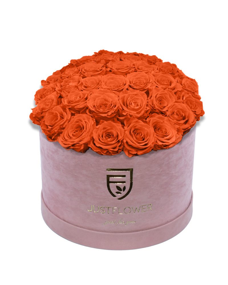 Rosenbox Deluxe mit orangen konservierten Rosen in Hellrosa – Infinity Rosen für langanhaltende Frische. Ideal als Geschenk für besondere Anlässe bei JustFlower.ch.