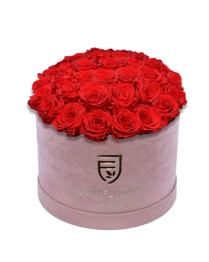 Rosenbox Deluxe mit roten Infinity Rosen in Hellrosa – Ewige Rosen für langanhaltende Frische und Eleganz. Ideal als romantisches Geschenk bei JustFlower.ch.