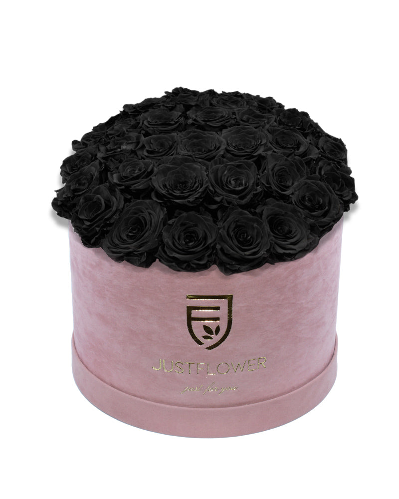 Rosenbox Deluxe mit schwarzen konservierten Rosen in Hellrosa – Infinity Rosen für langanhaltende Schönheit, ideal für edle Geschenke. Bestellen Sie jetzt bei JustFlower.ch.