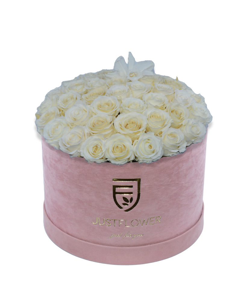 Rosenbox Deluxe mit weißen konservierten Rosen in Hellrosa – Infinity Rosen für langanhaltende Frische und elegante Schönheit. Bestellen Sie diese luxuriöse Rosenbox bei JustFlower.ch.