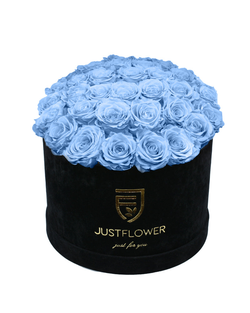 Rosenbox Schwarz mit hellblauen Rosen – Ewige Rosen für die perfekte Dekoration. Bestellen Sie jetzt bei JustFlower.ch.