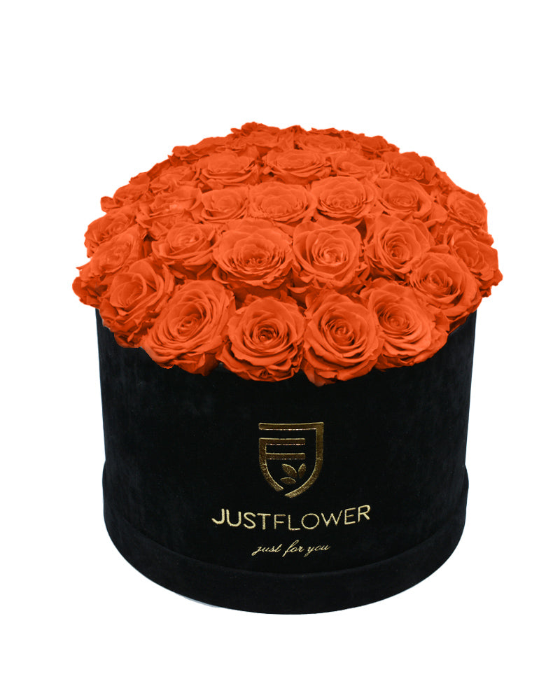 Rosenbox Schwarz mit orangefarbenen Rosen – Konservierte Rosen in edlem Design, perfekt als Geschenk. Bestellen Sie jetzt bei JustFlower.ch.