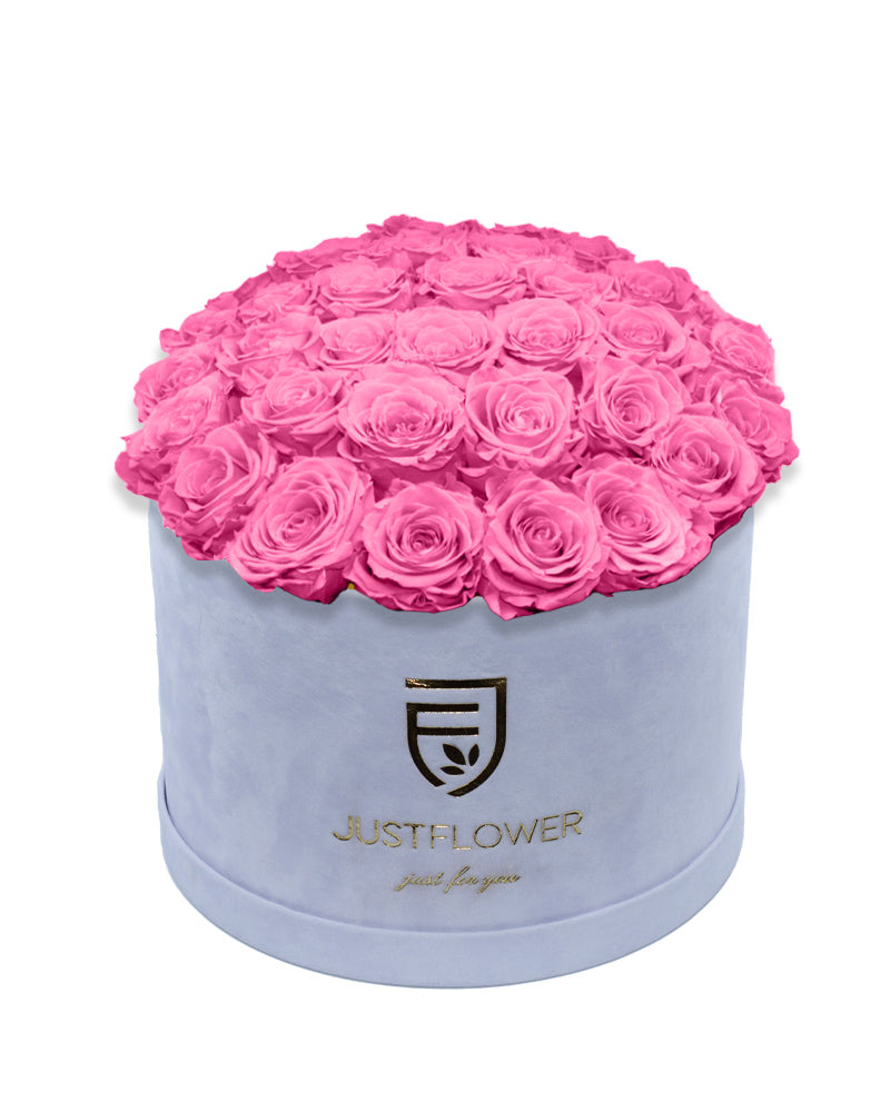 Rosenbox Deluxe mit baby pink konservierten Rosen in Weiß – Infinity Rosen für langanhaltende Frische und zarte Eleganz. Bestellen Sie jetzt diese exklusive Rosenbox bei JustFlower.ch.