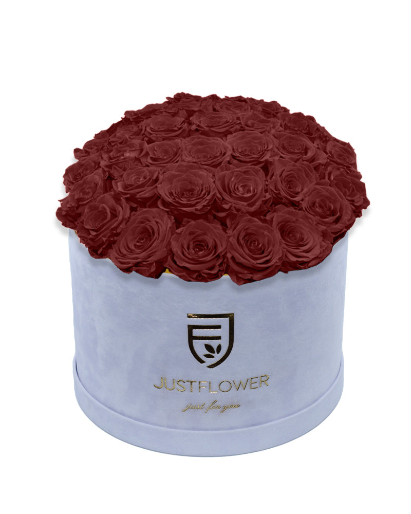 Rosenbox Deluxe mit burgunderroten konservierten Rosen in Weiß – Infinity Rosen für langanhaltende Frische und Eleganz. Bestellen Sie jetzt diese edle Rosenbox bei JustFlower.ch.