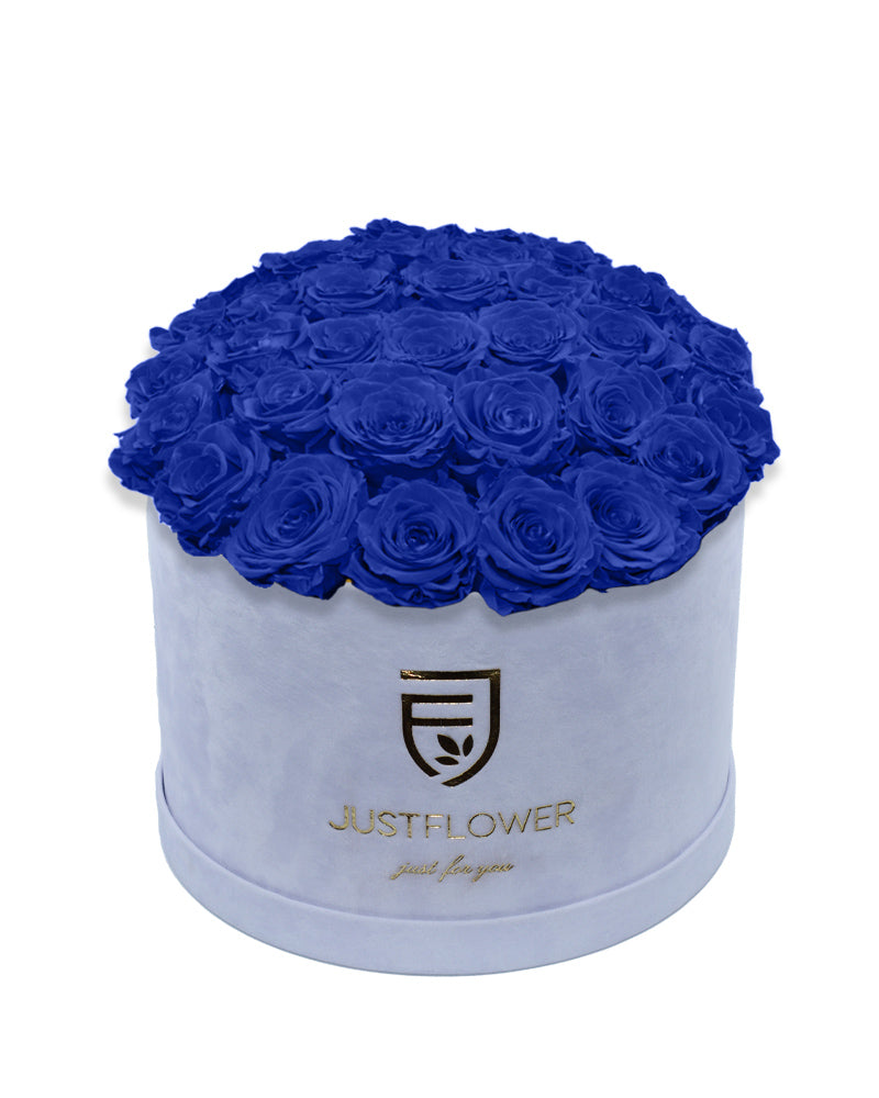 Rosenbox Deluxe mit dunkelblauen konservierten Rosen in Weiß – Infinity Rosen für langanhaltende Schönheit und Frische. Bestellen Sie jetzt diese exklusive Rosenbox bei JustFlower.ch.