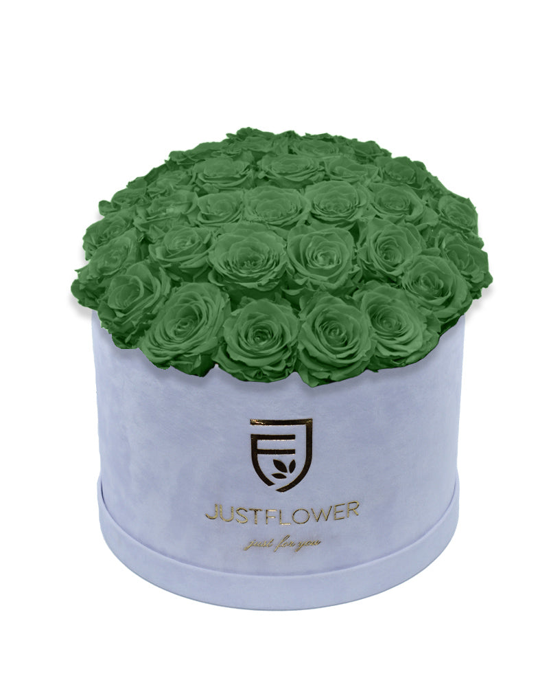 Rosenbox Deluxe mit grünen konservierten Rosen in Weiß – Infinity Rosen für langanhaltende Frische und Schönheit. Bestellen Sie diese einzigartige Rosenbox bei JustFlower.ch.