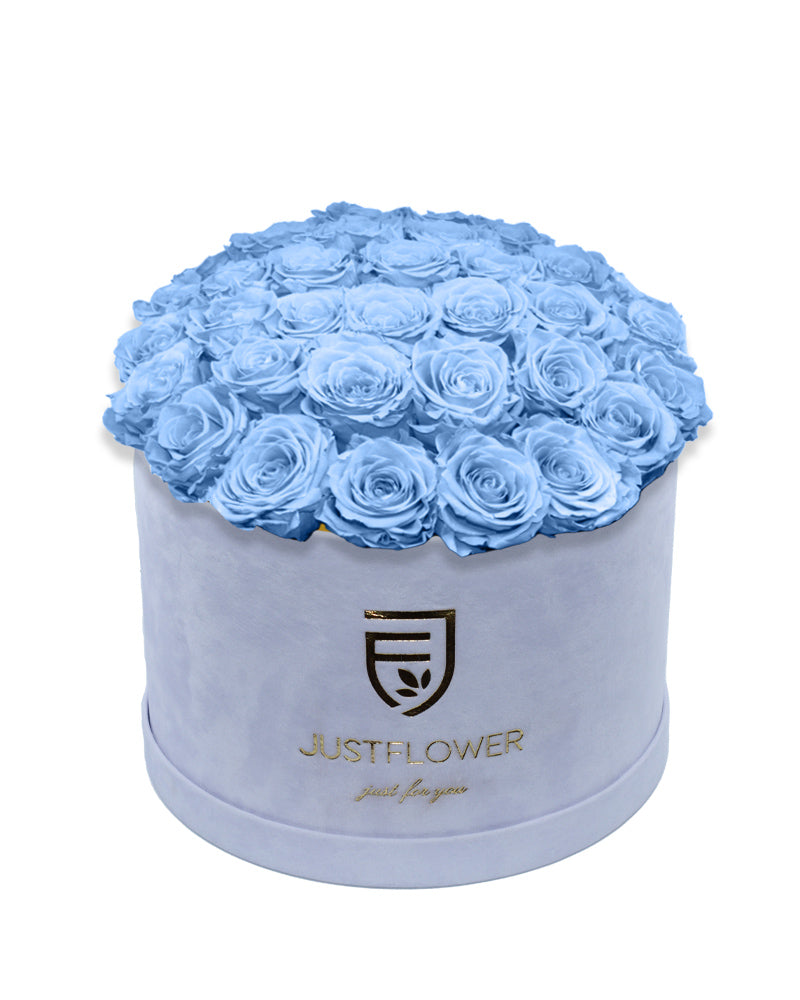 Rosenbox Deluxe mit hellblauen konservierten Rosen in Weiß – Infinity Rosen für langanhaltende Schönheit. Bestellen Sie diese exklusive Rosenbox bei JustFlower.ch.