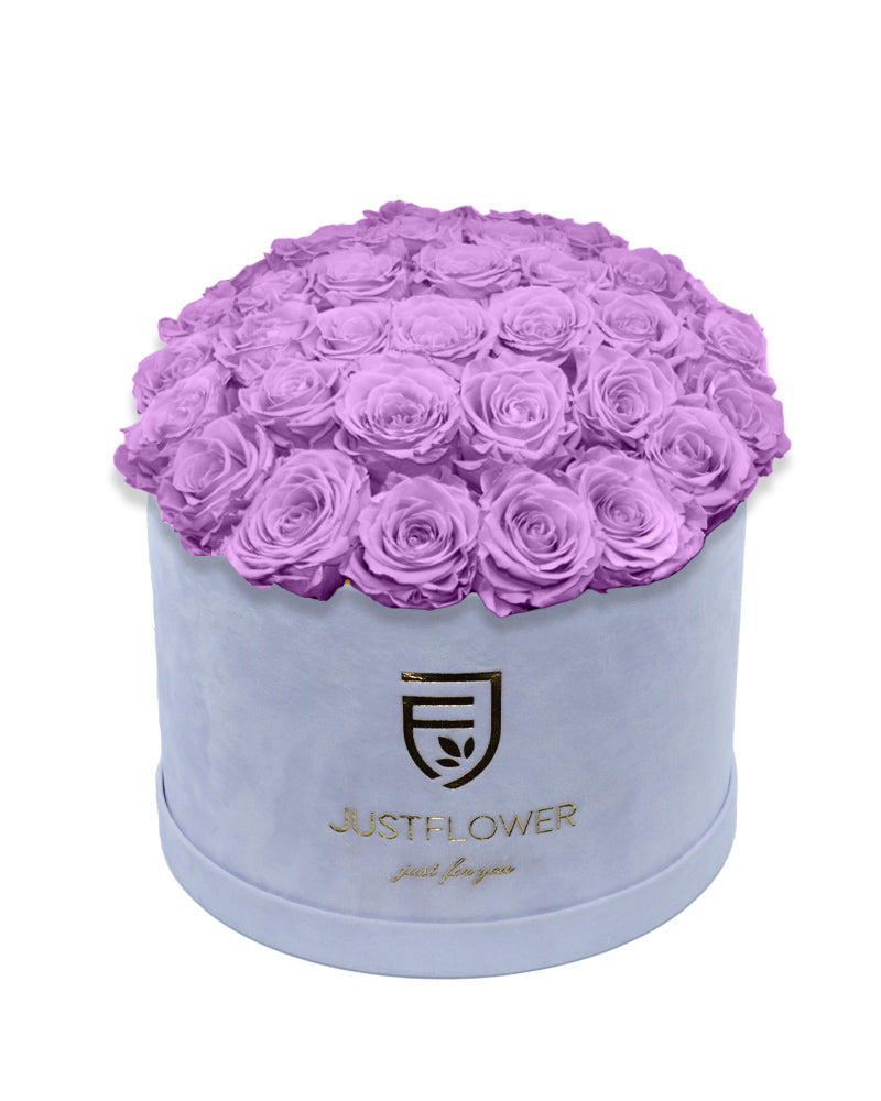 Rosenbox Rund Deluxe mit lilac konservierten Rosen – Infinity Rosen für langanhaltende Frische, ein ideales Geschenk für besondere Anlässe. Bestellen Sie jetzt bei JustFlower.ch.