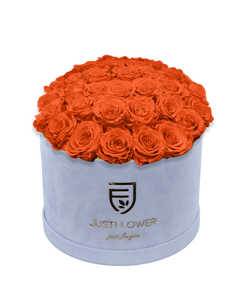 Rosenbox Rund Deluxe mit orange konservierten Rosen – Infinity Rosen für langanhaltende Frische, das perfekte Geschenk für besondere Momente. Bestellen Sie jetzt bei JustFlower.ch.