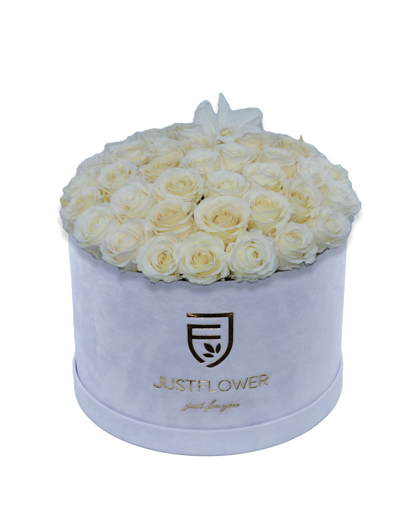 Rosenbox Rund Deluxe mit weißen konservierten Rosen – Infinity Rosen für langanhaltende Frische und Eleganz, ideal als luxuriöses Geschenk. Bestellen Sie jetzt bei JustFlower.ch.