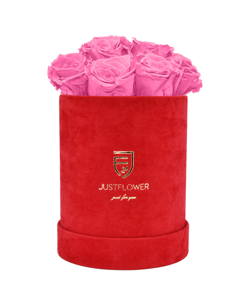 Luxuriöse Rosenbox mit babypinken konservierten Rosen, präsentiert in einer roten Velour-Box. Bestellen Sie diese Rosenbox mit ewigen Rosen bei JustFlower.ch.