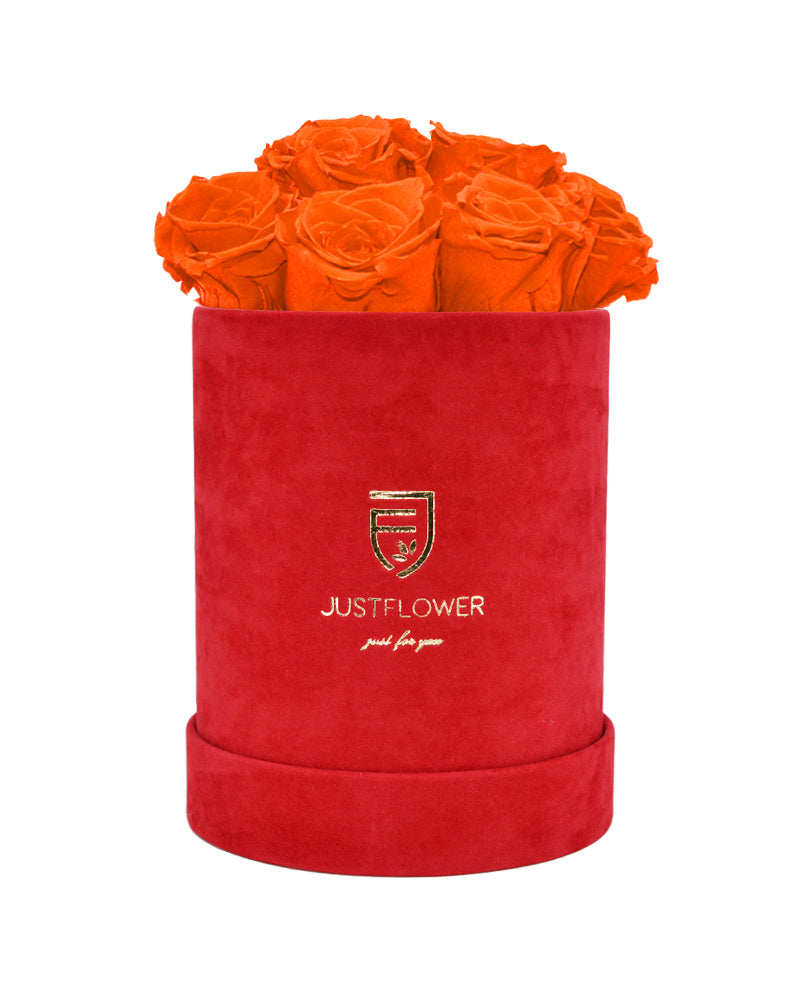 Bestellen Sie diese elegante Rosenbox mit orangefarbenen Infinity Rosen und überraschen Sie Ihre Liebsten mit einem einzigartigen Geschenk. Nur bei JustFlower.ch!