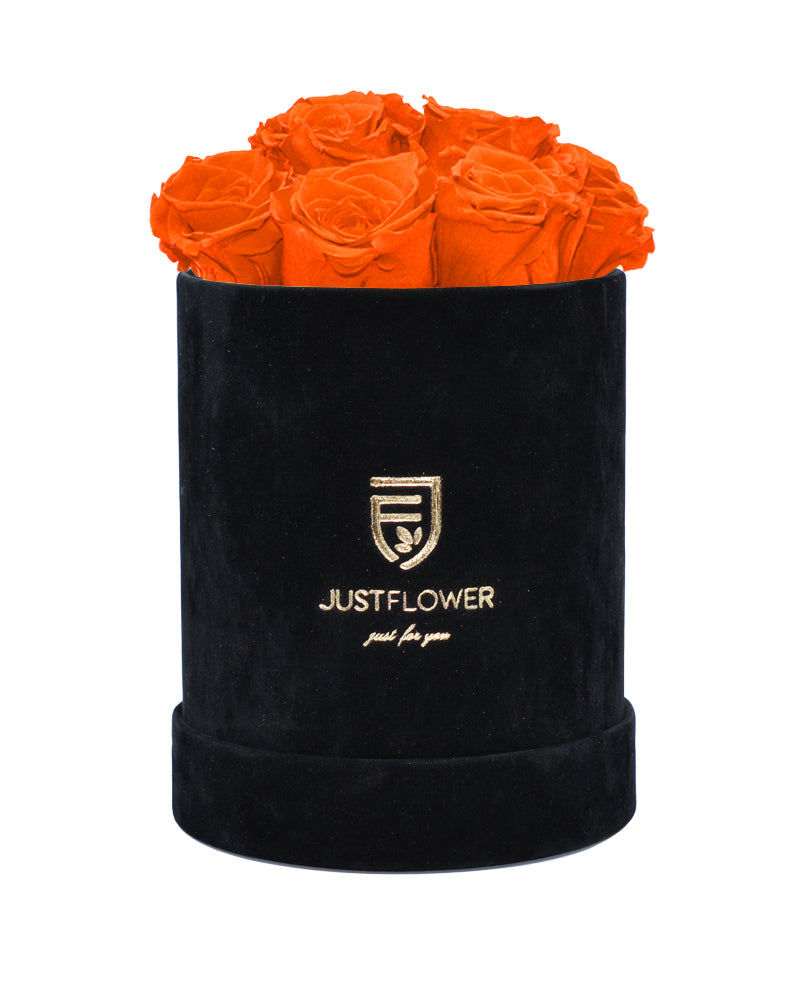 Rosenbox mit konservierten Infinity Rosen in leuchtendem Orange. Bestellen Sie diese luxuriöse Rosenbox bei JustFlower.ch mit ewigen Rosen und verschönern Sie Ihr Zuhause oder überraschen Sie einen geliebten Menschen.