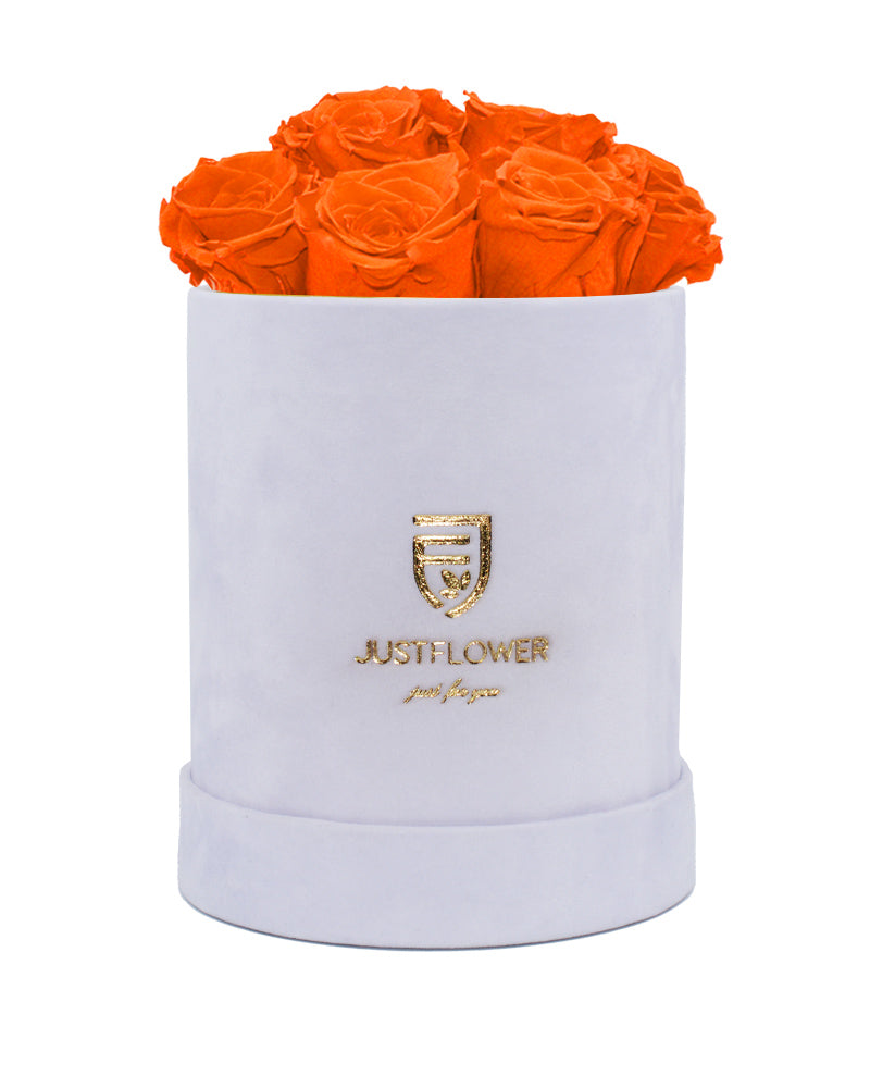 Rosenbox mit konservierten orangenen Rosen in einer eleganten weißen Rosenbox von JustFlower.ch. Bestellen Sie diese edle Infinity Rosenbox als besonderes Geschenk für Ihre Liebsten.