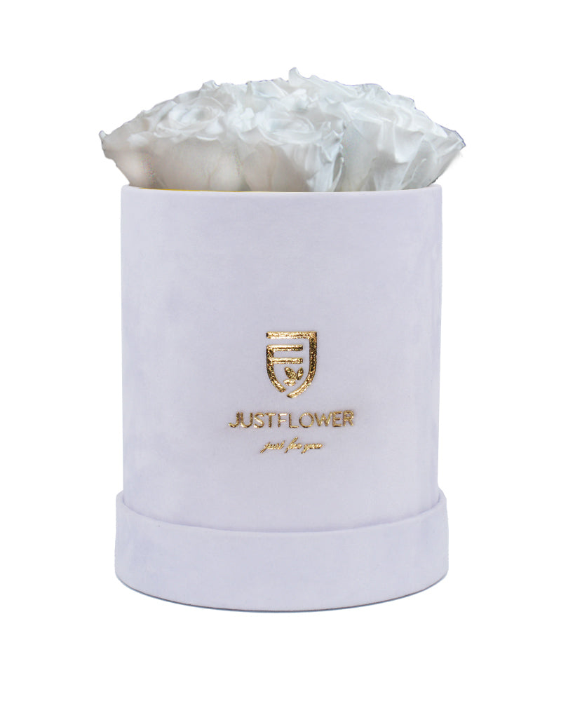 Rosenbox mit weißen Infinity Rosen – Luxuriöse ewige Rosen in einer eleganten weißen Rosenbox von JustFlower.ch. Bestellen Sie diese konservierte Rosenbox für besondere Anlässe und schenken Sie unvergessliche Momente.