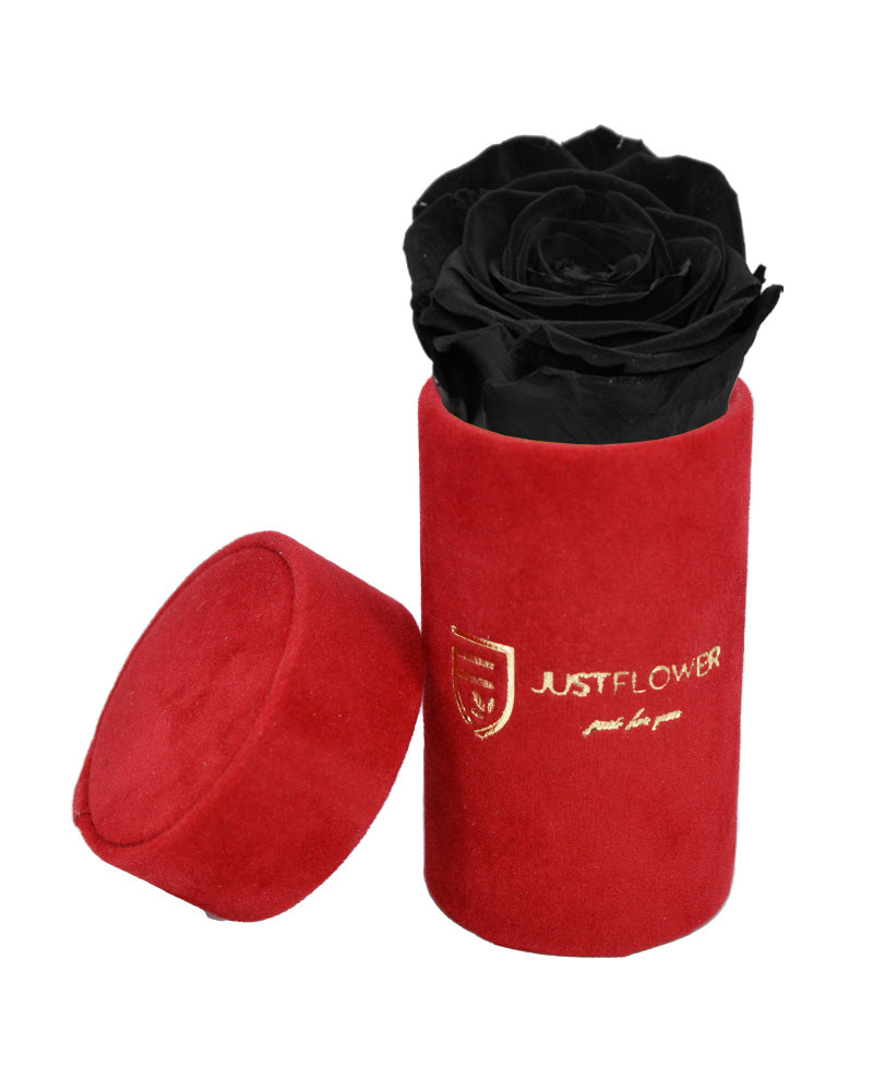 Ewige Rose in einer stilvollen Box. Bestellen Sie Ihre Infinity Rose bei JustFlower.ch und schenken Sie bleibende Eleganz.