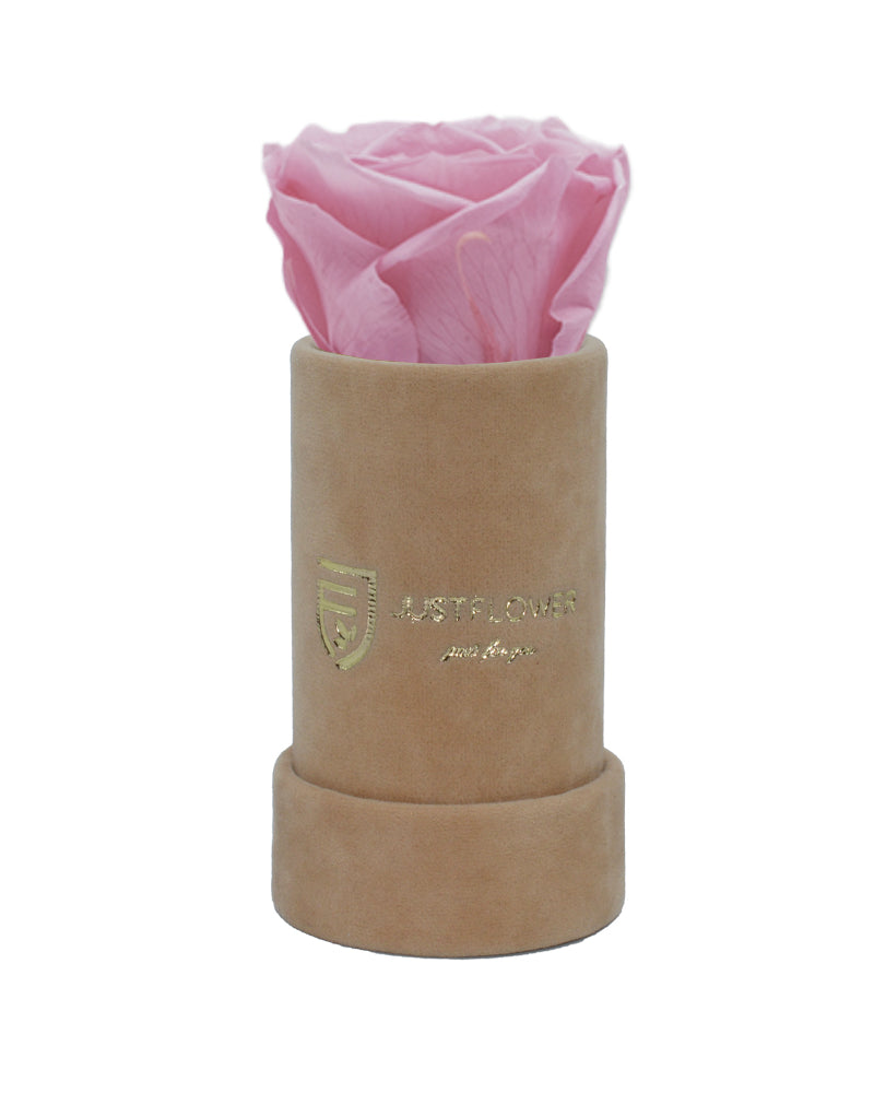 Konservierte Infinity Rose in edler Box. Bestellen Sie Ihre ewige Rose bei JustFlower.ch und schenken Sie bleibende Freude.