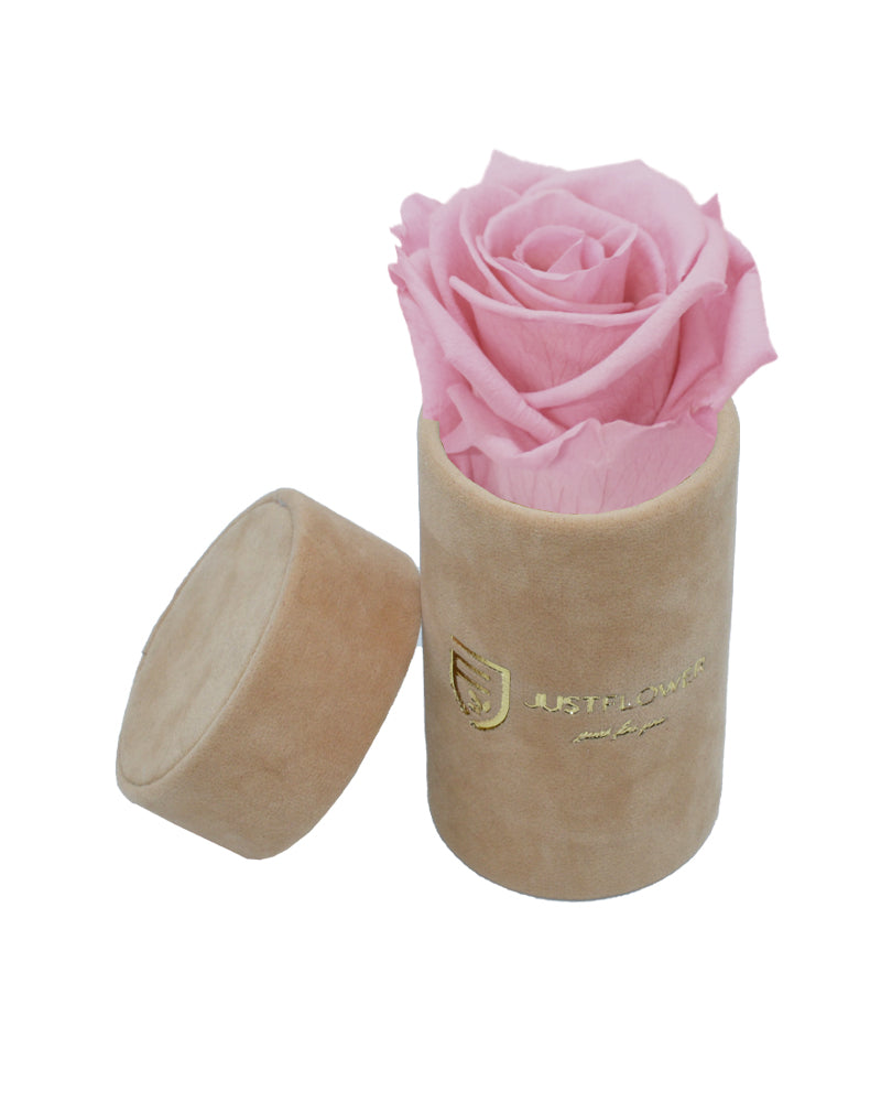 Luxuriöse Rosenbox mit einer einzelnen Infinity Rose. Bestellen Sie bei JustFlower.ch für bleibende Schönheit.