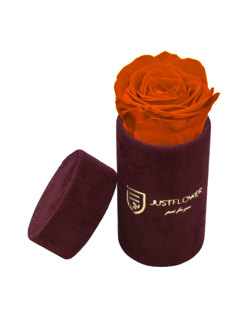 Konservierte Infinity Rose in einer exklusiven Box. Bestellen Sie Ihre ewige Rose bei JustFlower.ch und erleben Sie wahre Schönheit.