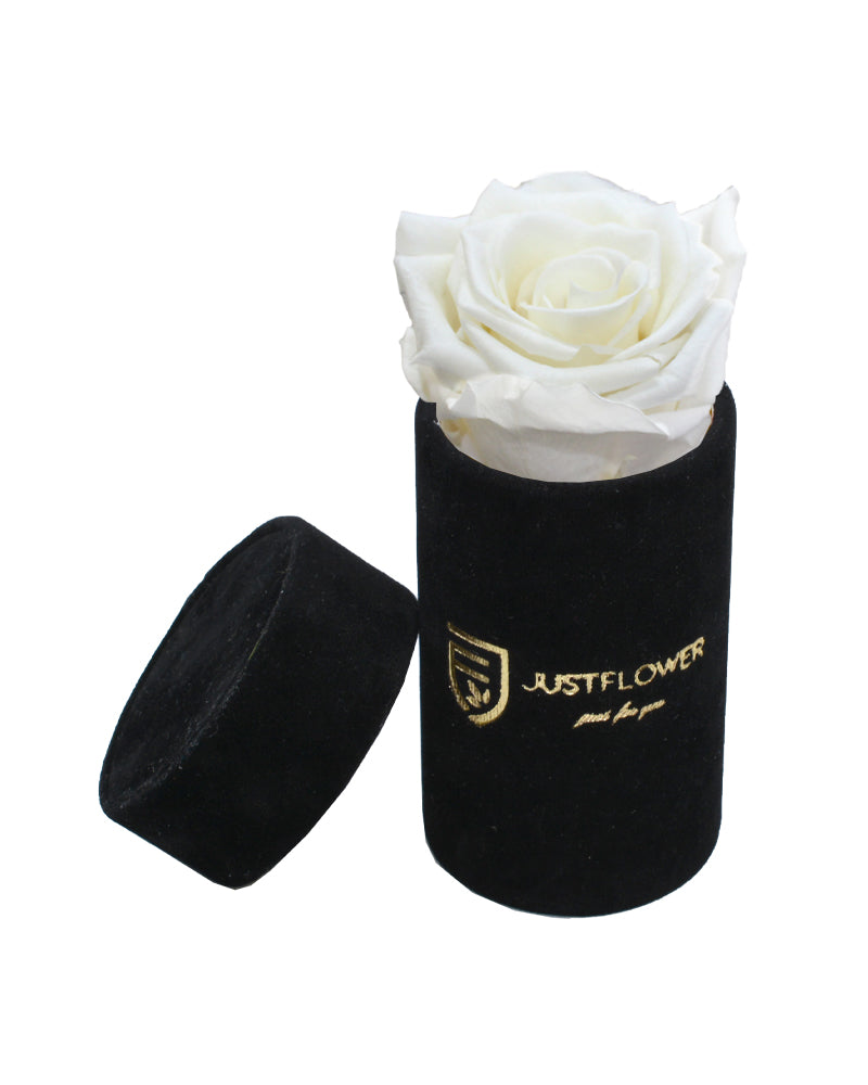 Stilvolle Rosenbox mit einer Infinity Rose. Bestellen Sie bei JustFlower.ch und verleihen Sie Ihrem Zuhause einen Hauch von Luxus.