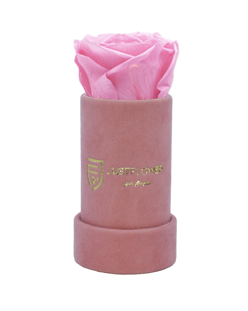 Infinity Rose in einer luxuriösen Box. Bestellen Sie Ihre ewige Rose bei JustFlower.ch und genießen Sie zeitlose Schönheit.