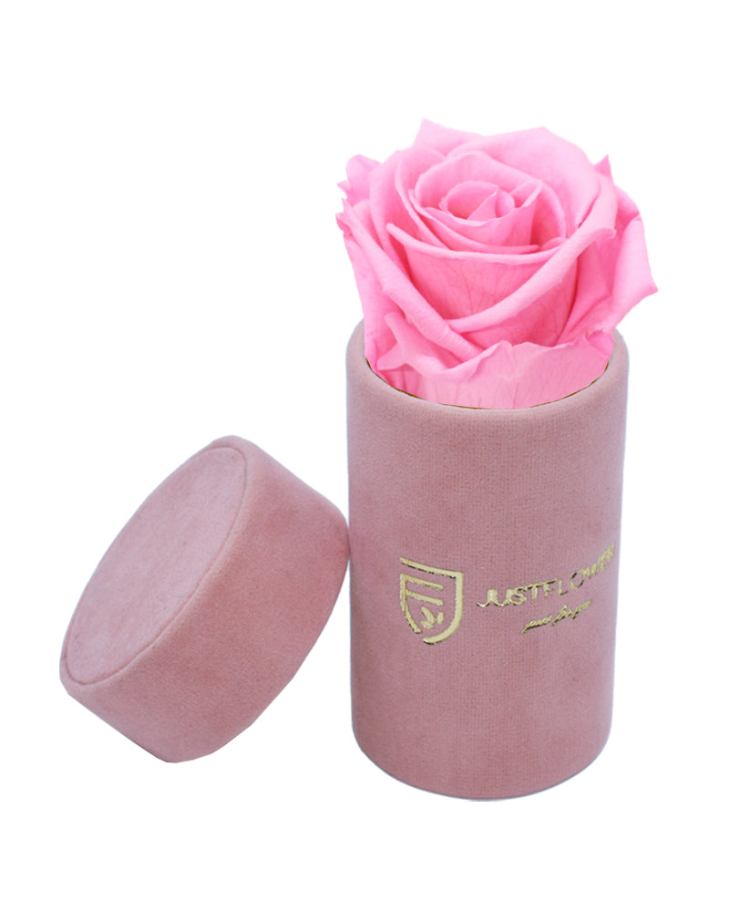 Preserved Infinity Rose in einer exklusiven Box. Bestellen Sie bei JustFlower.ch und verschönern Sie Ihr Leben mit ewiger Eleganz.