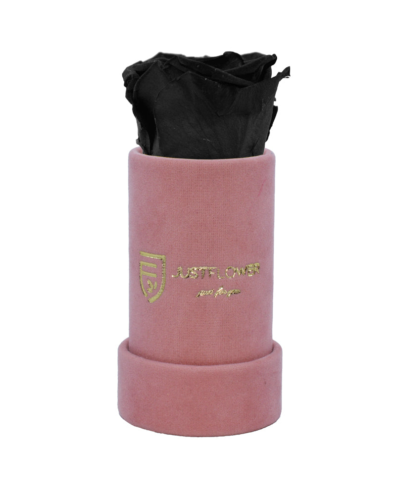 Luxuriöse Box mit einer einzelnen Infinity Rose. Bestellen Sie Ihre ewige Rose bei JustFlower.ch für ein außergewöhnliches Erlebnis.