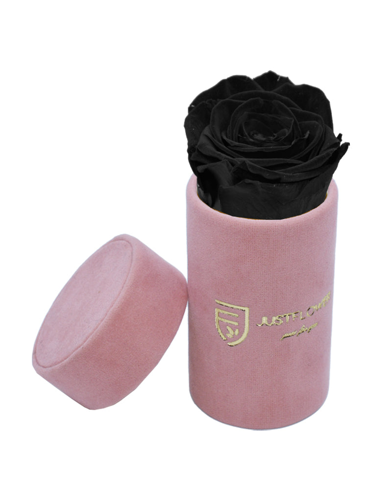Ewige Infinity Rose in exklusiver Box. Bestellen Sie Ihre konservierte Rose bei JustFlower.ch für bleibende Erinnerungen.