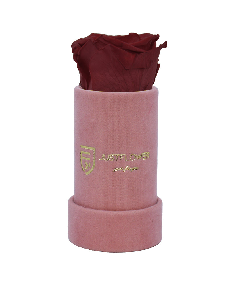 Einzelne Infinity Rose in exklusiver Box. Bestellen Sie bei JustFlower.ch und verschönern Sie Ihr Zuhause mit ewiger Schönheit.